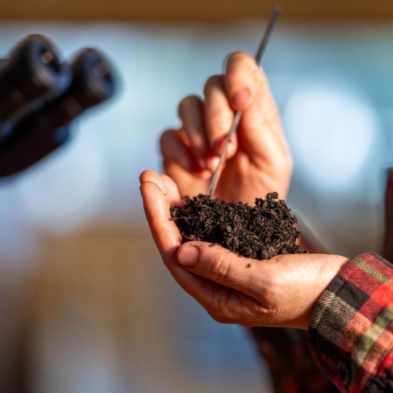 fertilizacion-agricola-personalizada
