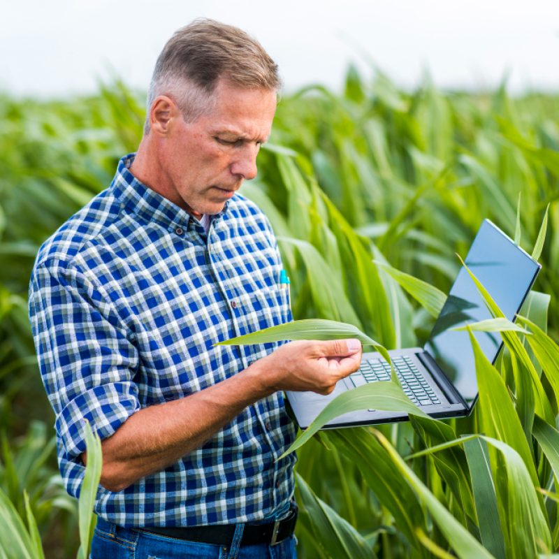 seguros agrícolas