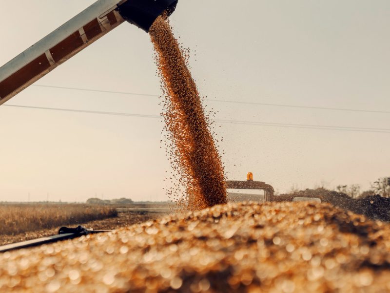venta-semillas-agricolas-certiciadas-huesca